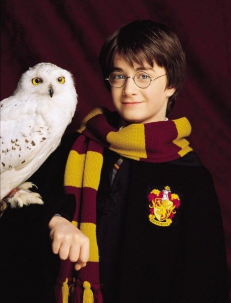 Дэниел Рэдклифф философский камень