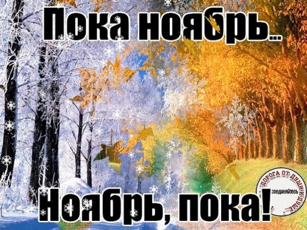 Пока ноябрь