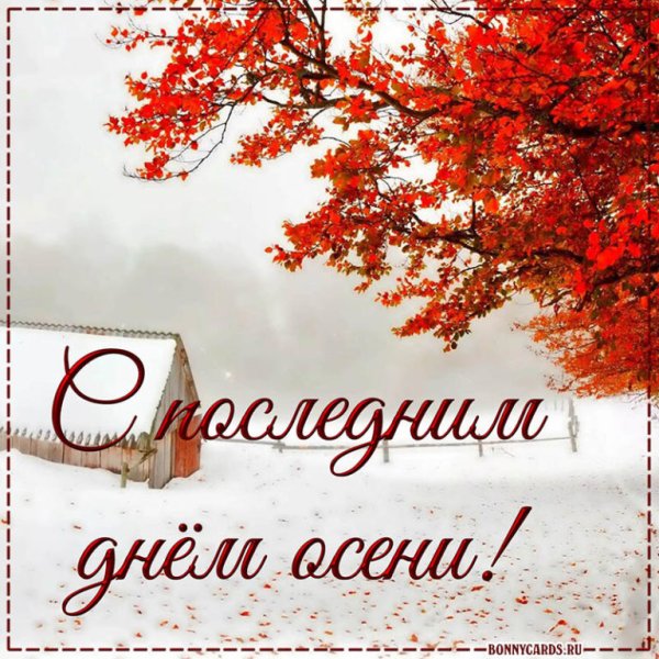 Отличного последнего дня осени