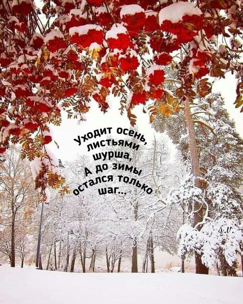 С последним днем осени