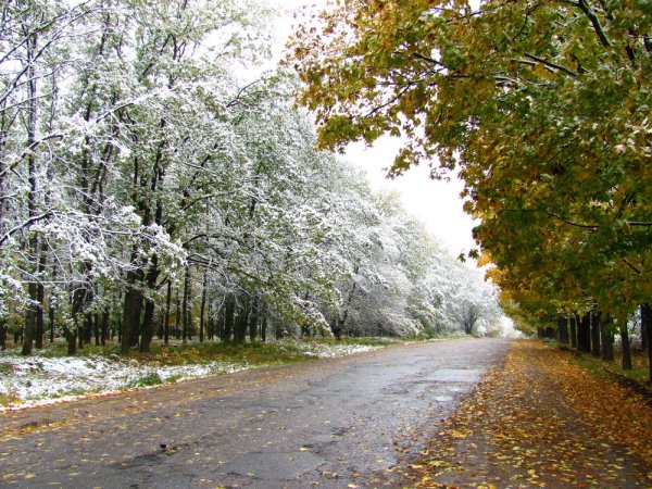 Встреча осени с зимой