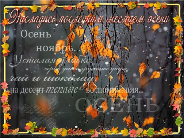 Осень ноябрь