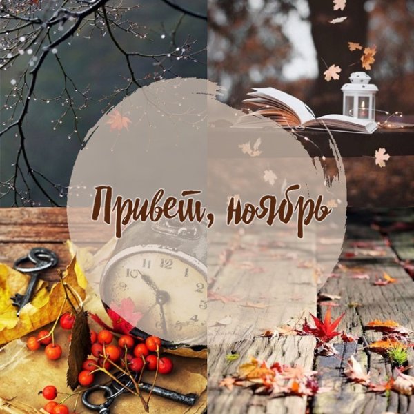 Доброе утро осень 1 ноября