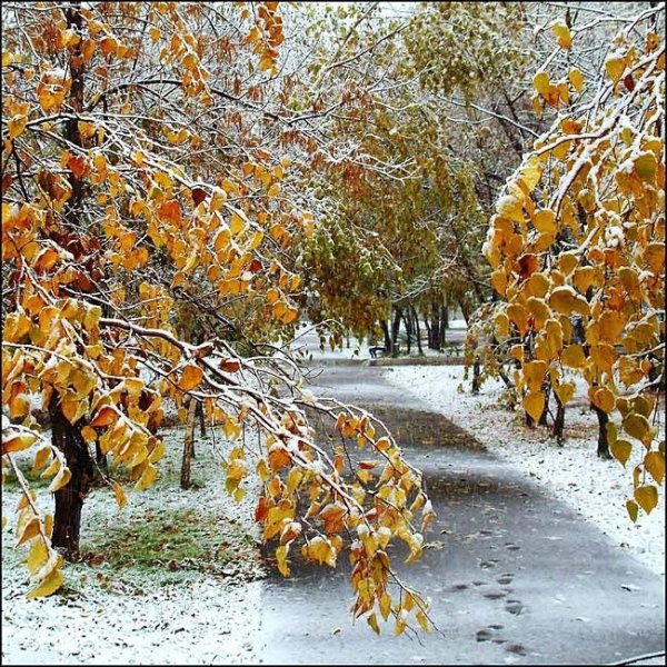 Последний день 30 ноября