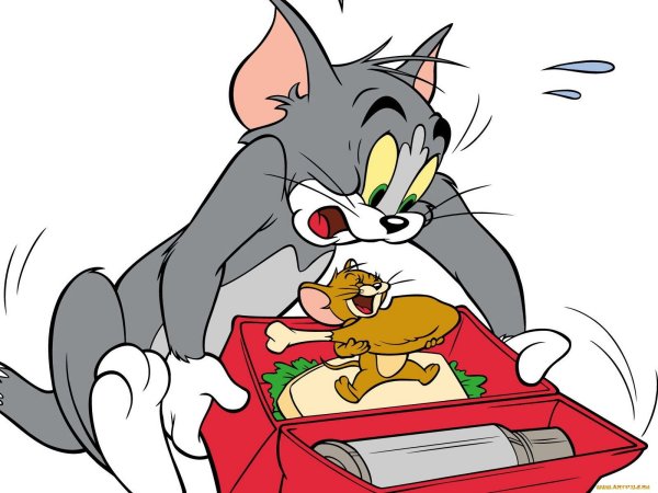Tom and Jerry мультик
