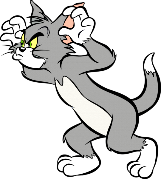 Tom and Jerry cartoon