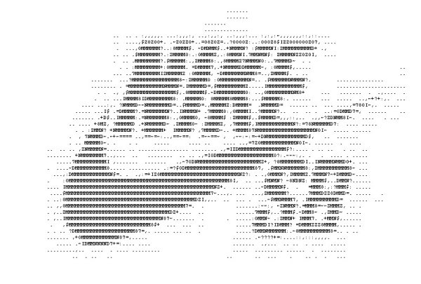 Кот из символов