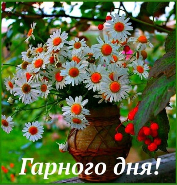 Доброго ранку хлопцы