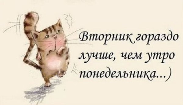 Доброе утро вторника