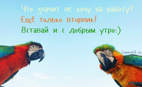 Поздравления со вторником прикольные