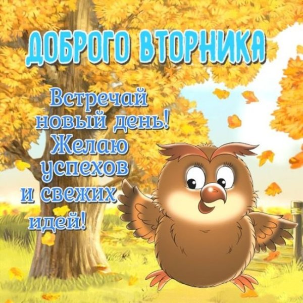 Цитаты про вторник