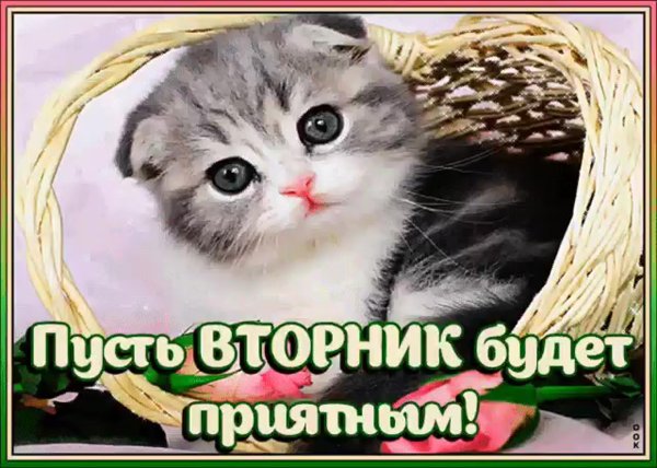 Доброе утро вторника