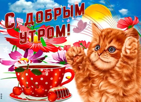 Открытки с добрым утром прикольные