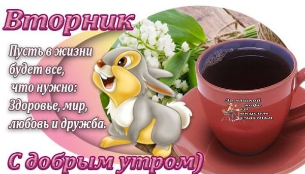 Пожелания на вторник прикольные