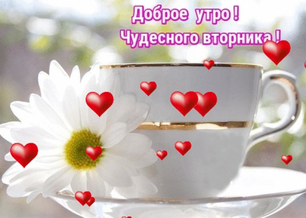 Жду приглашения в гости