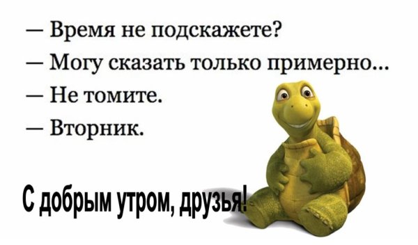 Доброе утро вторника