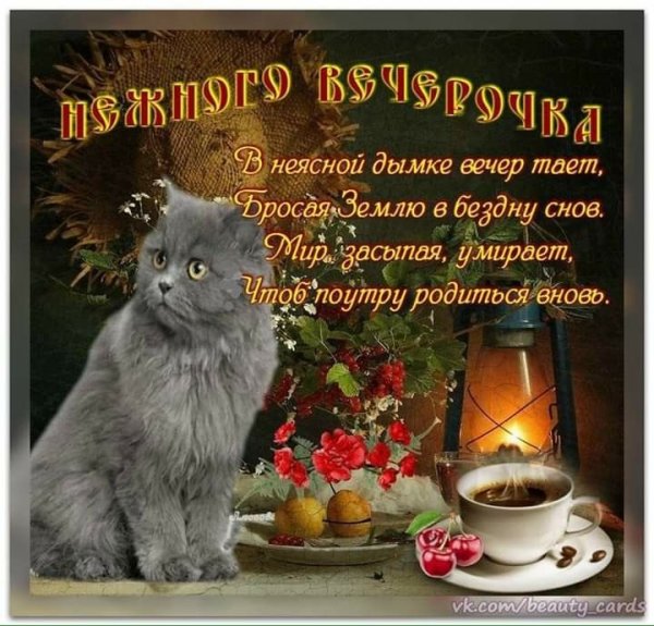 Хорошего доброго вечера