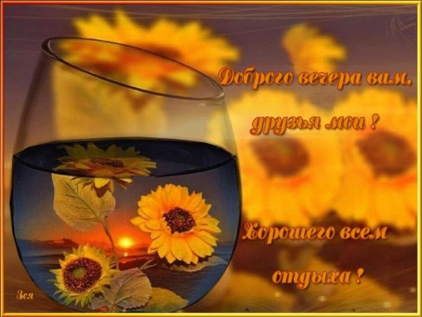 Добрый летний вечер понедельника