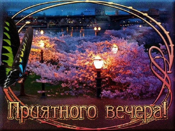 Открытки приятного вечера