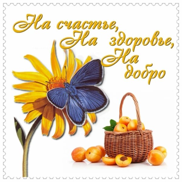 Пожелания выздоровления