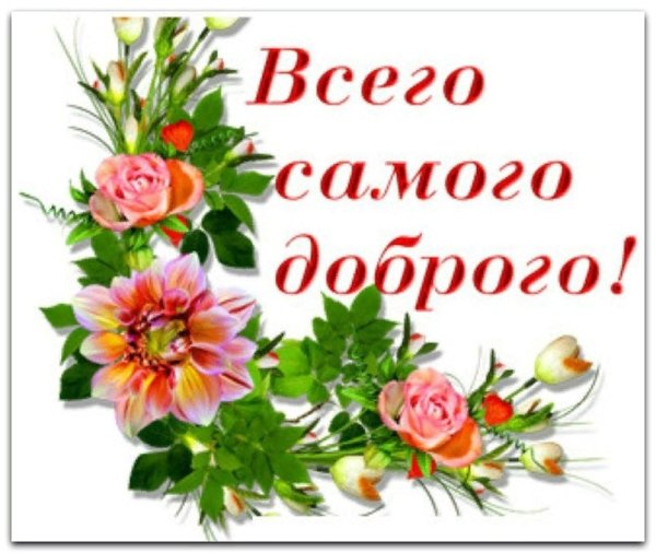 Хризантема роза альстромерия