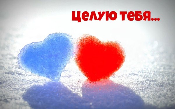 Целую обнимаю