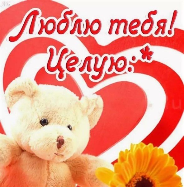 Любимый зайчик