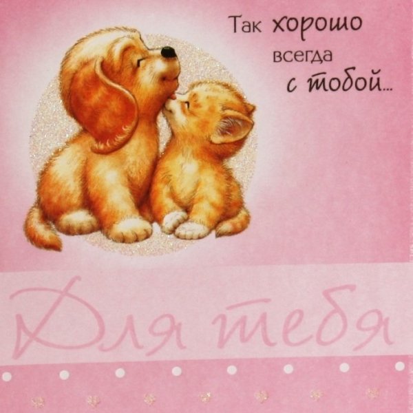 Целую обнимаю
