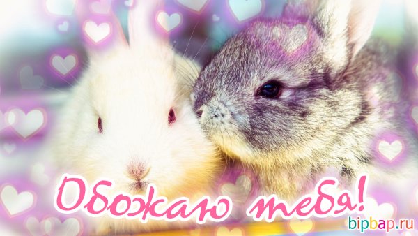 Целую обнимаю
