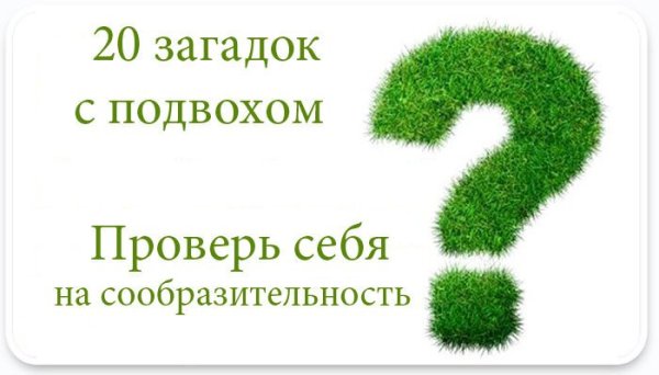Загадки с подвохом в картинках
