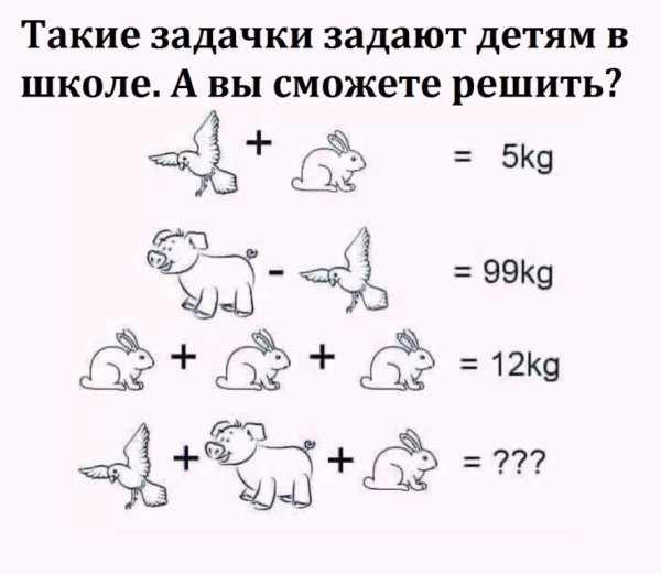 Логические загадки в картинках