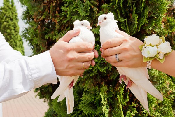 С годовщиной свадьбы 15 лет