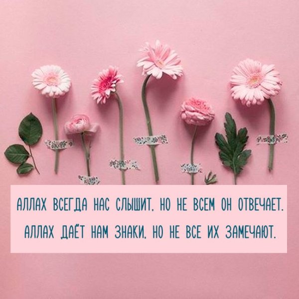 Открытки со смыслом