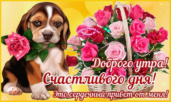 Удачного дня мужчине
