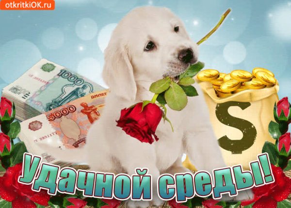 Среда открытки красивые