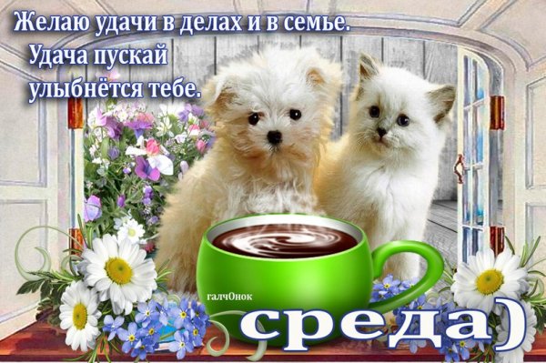 Открытки со стихами про среду