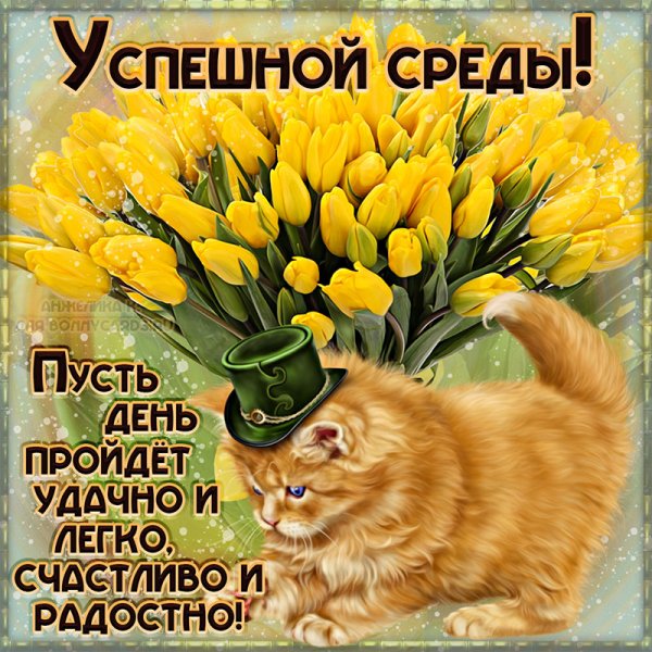 Красивые поздравления со средой