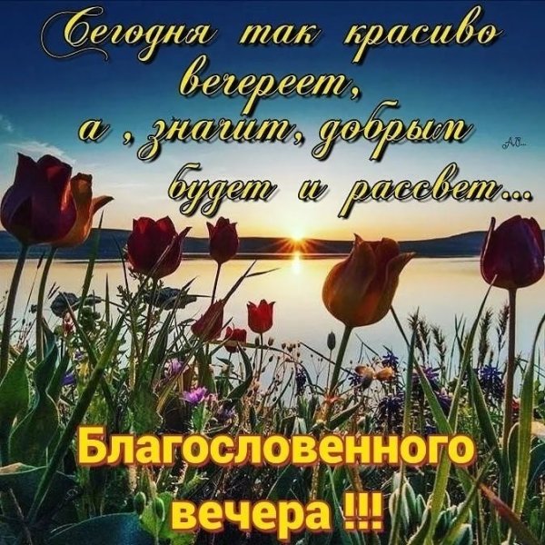 Хороший вечер