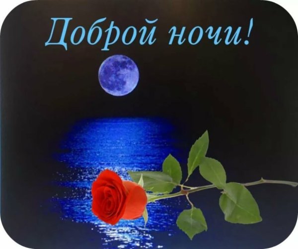 Душевного вам вечера