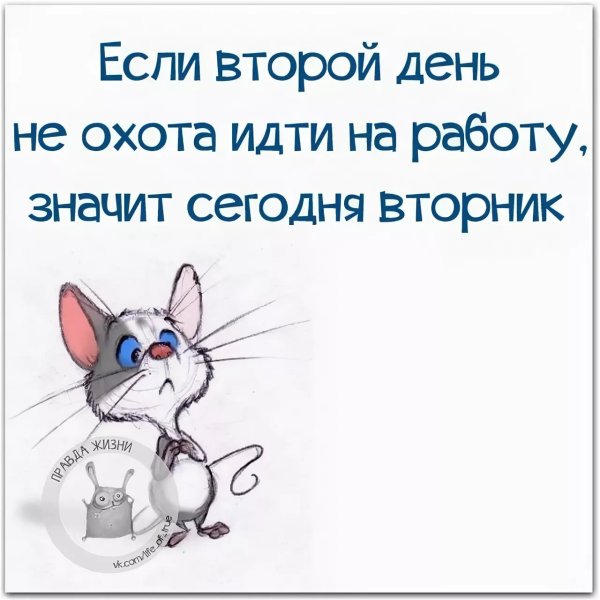 Мотивационные цитаты с юмором