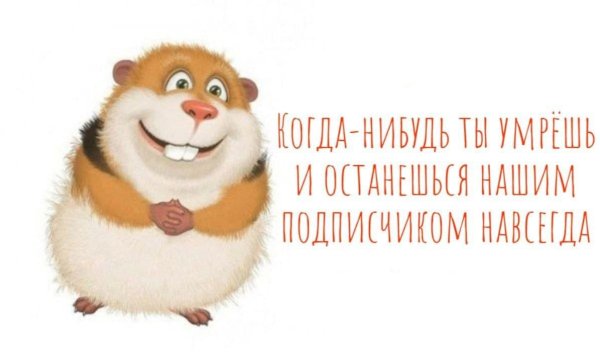 Прикольные высказывания в картинках