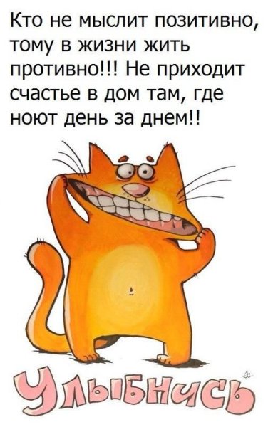 Смешные цитаты