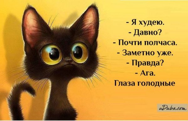 Фразы для поднятия настроения