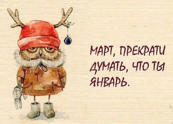 Спящий кот в странном положении