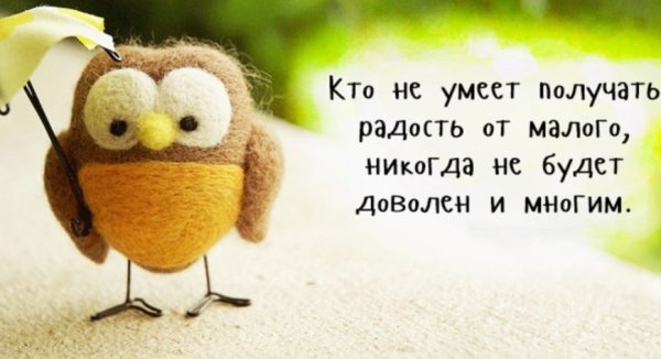 Стихи для поднятия духа и настроения