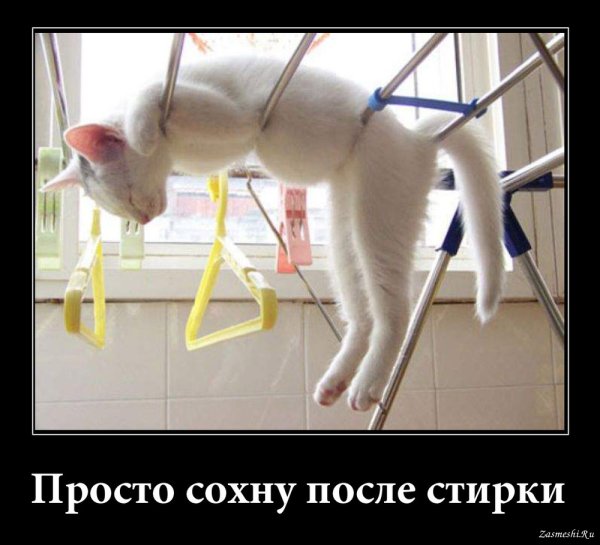 Позитивные цитаты про работу