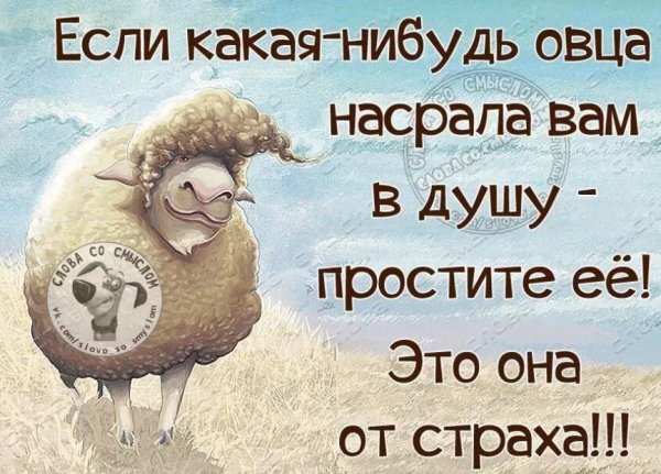Позитивные советы