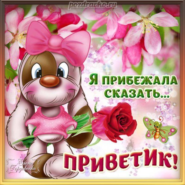 Открытки привет