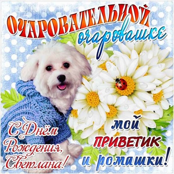 Открытки с приветствиями