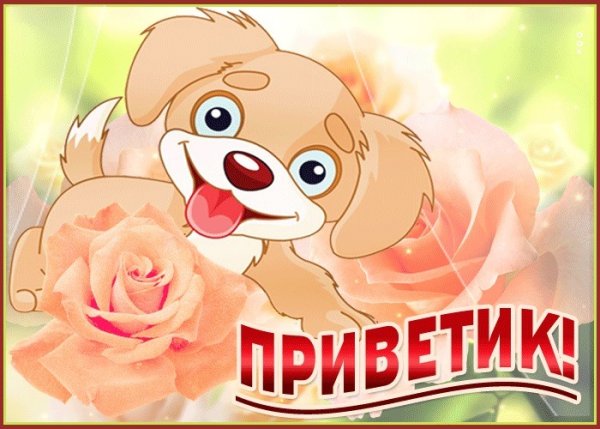 Прикольные приветствия